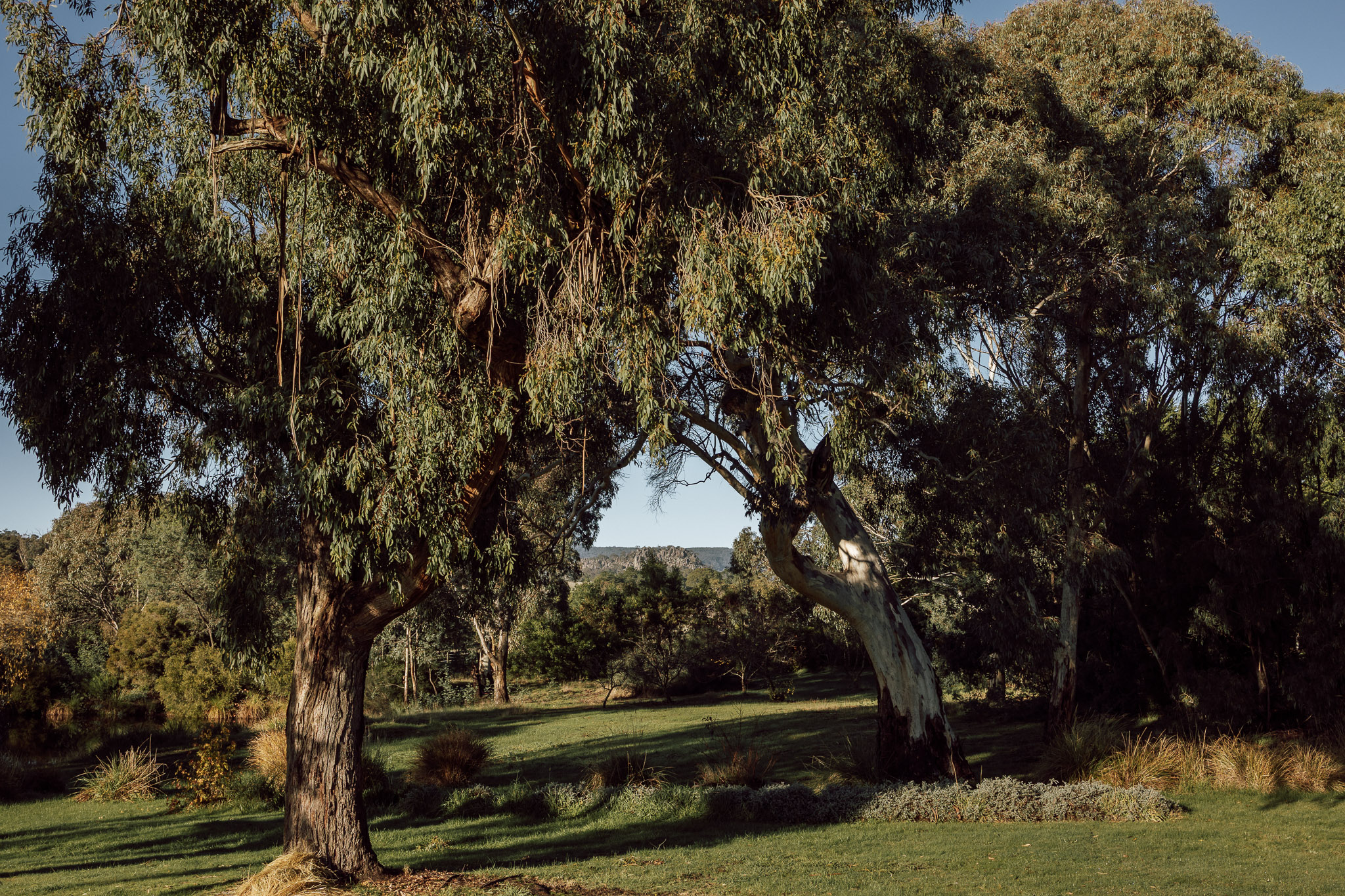 View of Macedon Ranges from holiday stay in Newham